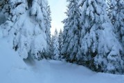 毛不易冬至献声广州，一场雪的温暖降临