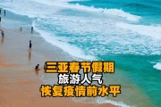 作为2020年以来首个不再倡导"就地过年"的春节,今年无论是餐饮,旅游