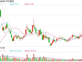 子公司被起诉涉案2.08亿元 华东重机跨界光伏为何反成拖累？