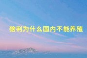 2024欧洲杯国内转播版权