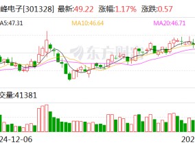 维峰电子：公司主要以高性能、高可靠性的工控、汽车及新能源连接器为主