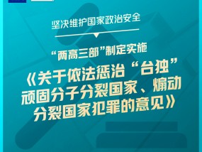 干货满满！一组图梳理“两高”工作报告