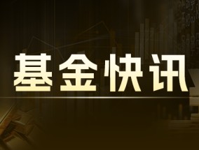 泓德基金：女性经理投资传奇与建议