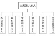 体育组织形式