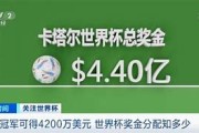 世界杯冠军奖金足球荣耀与经济回报的交汇点