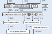 鲁能体育股权改革