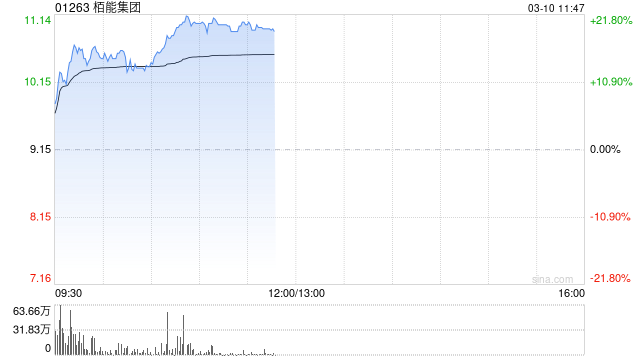 栢能集团早盘大涨超20% 2024年全年纯利同比增长331%